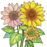 Coloring Picture Of A Sunflower 2 2