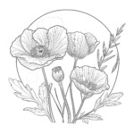 Colouring Poppies