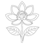 Cute Flower Colouring Pages