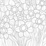 Daffodils Colouring Pages