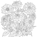 Dahlia Coloring Page