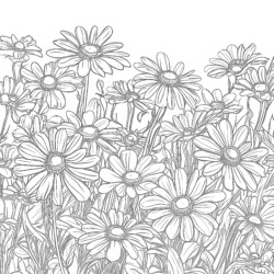 Daisy Flower Colouring Pages - Printable Coloring page