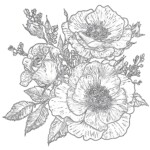 Detailed Coloring Pages Flowers