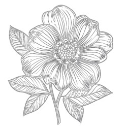 Easy Coloring Pages Flowers - Printable Coloring page