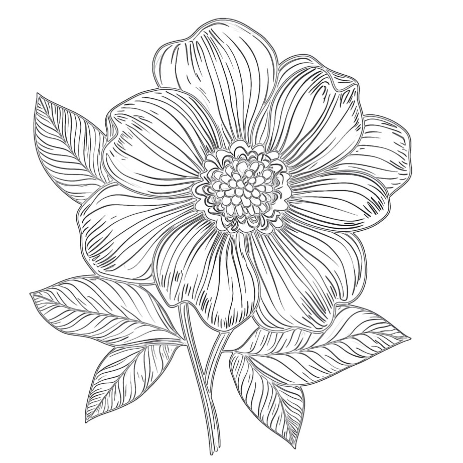 Easy Coloring Pages Flowers