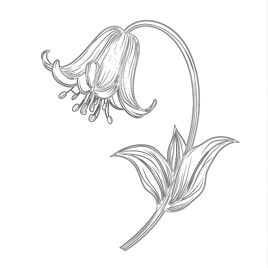 Easy Coloring Pages Of Flowers