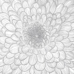 Flower Coloring In Coloring Page - Printable Coloring page