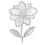 Flower Images Coloring Pages