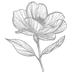 Flower Pic To Coloring Page - Printable Coloring page