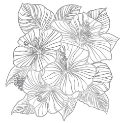 Flowers Coloring Page Printable - Printable Coloring page