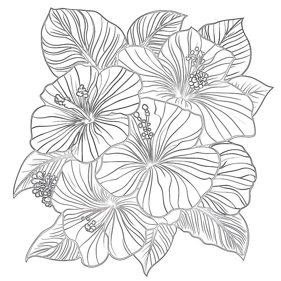 Flowers Coloring Page Printable