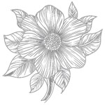 Free Coloring Flower