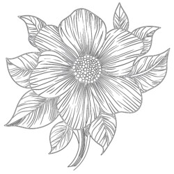 Free Coloring Flower - Printable Coloring page