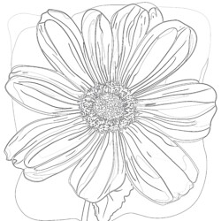 Free Flower Coloring Pages Printable - Printable Coloring page