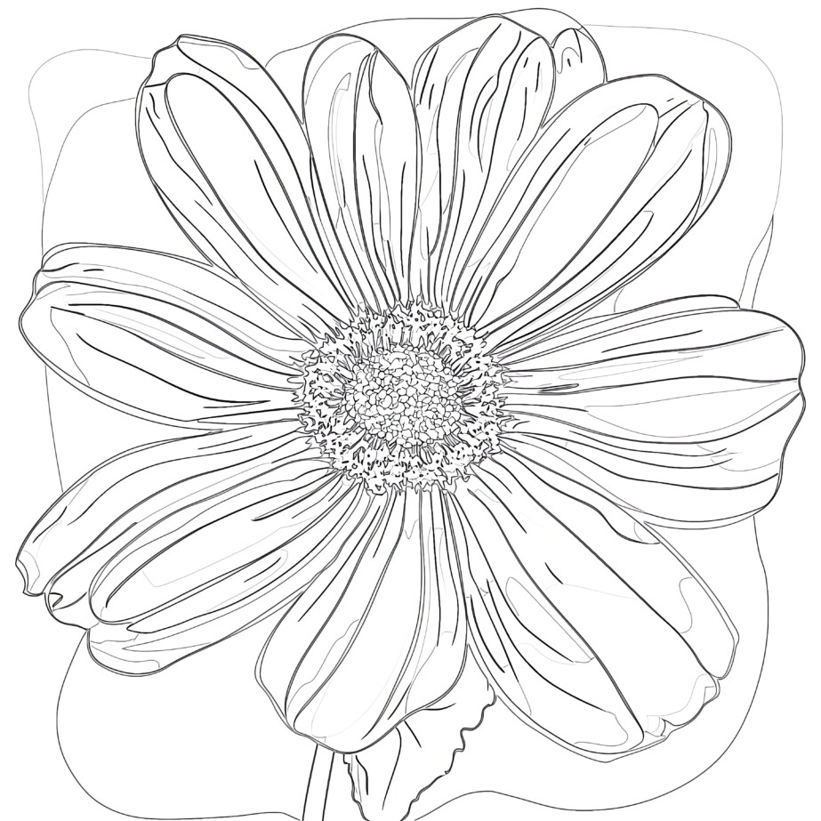 Free Flower Coloring Pages Printable