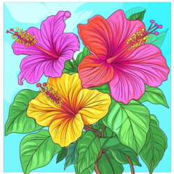 Hibiscus Colouring - Origin image