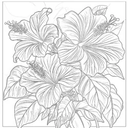 Hibiscus Colouring - Printable Coloring page