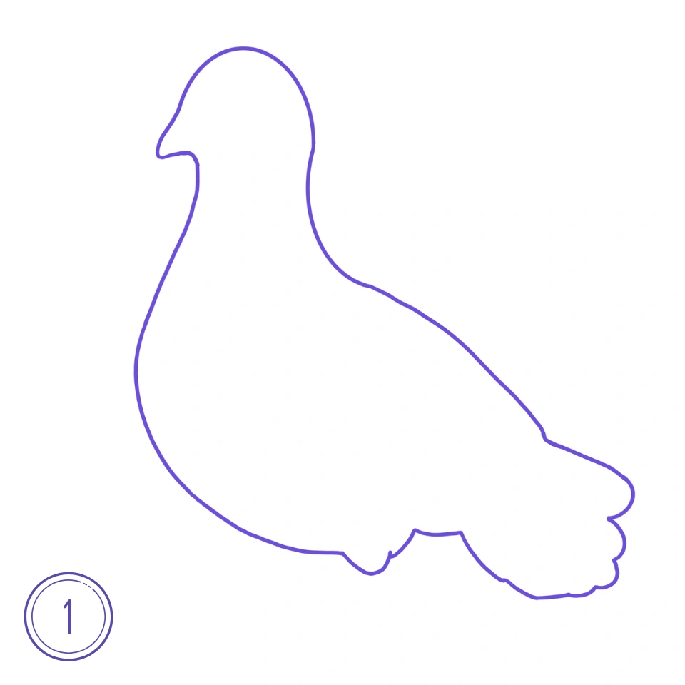 How to Draw a Pigeon Step 1