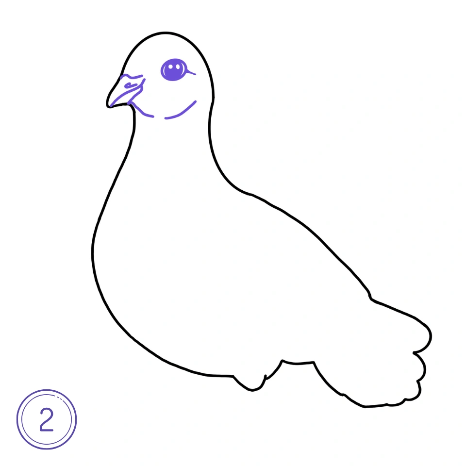 How to Draw a Pigeon Step 2