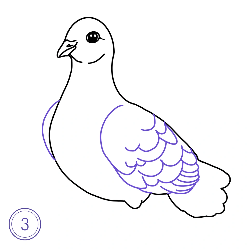 How to Draw a Pigeon Step 3