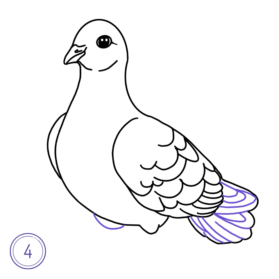 How to Draw a Pigeon Step 4