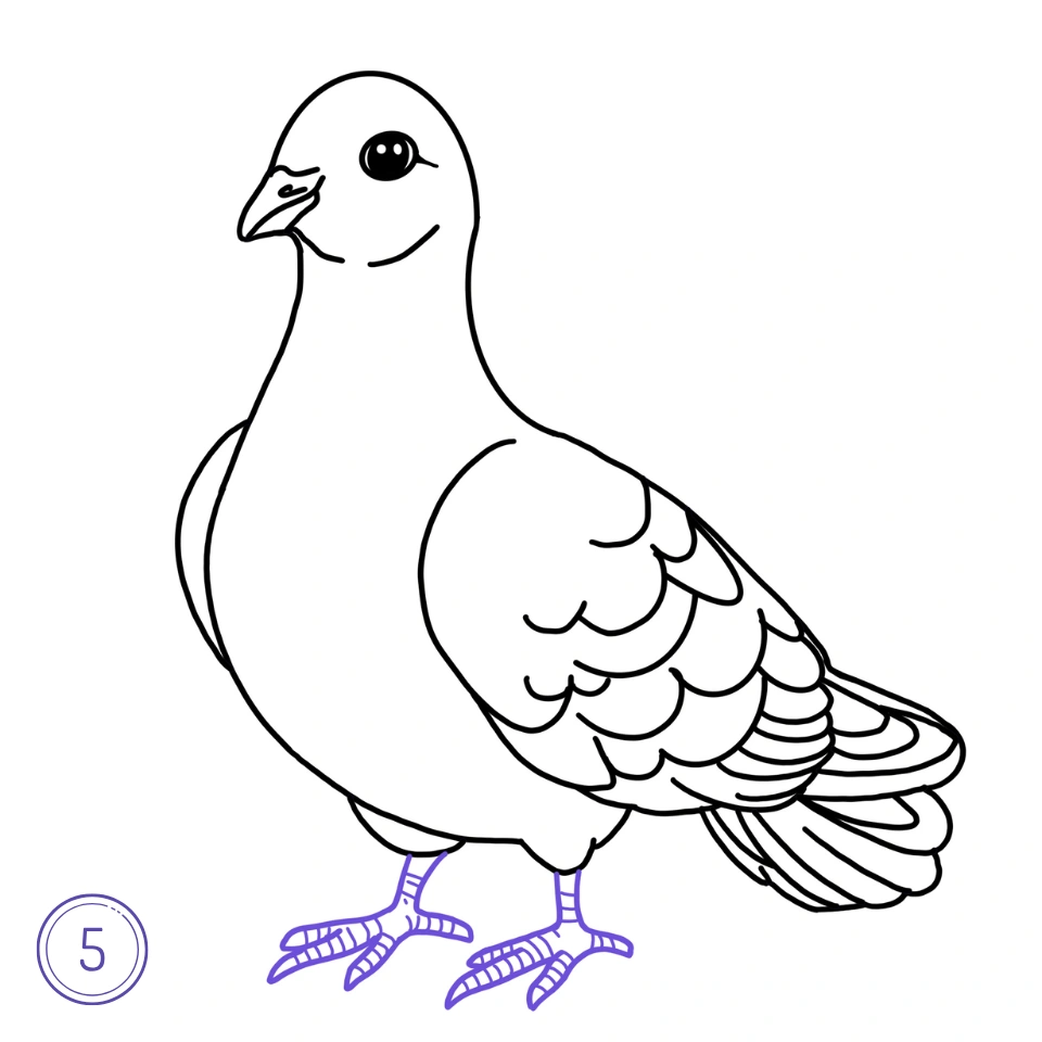 How to Draw a Pigeon Step 5