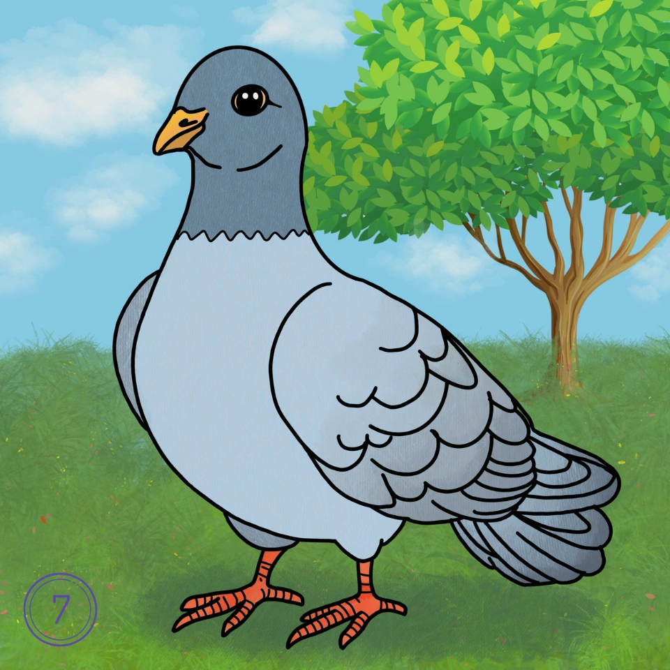 How to Draw a Pigeon Step 7