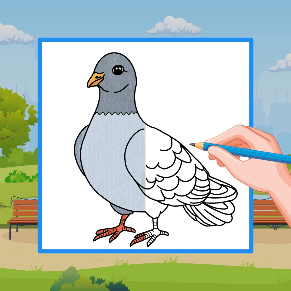 How to Draw a Pigeon