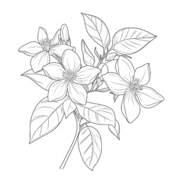 Jasmine Coloring Pages - Printable Coloring page