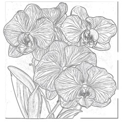 Pages To Color Flowers - Printable Coloring page