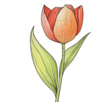 Picture Of Flower For Coloring 2 2