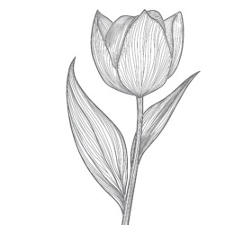 Picture Of Flower For Coloring Page - Printable Coloring page