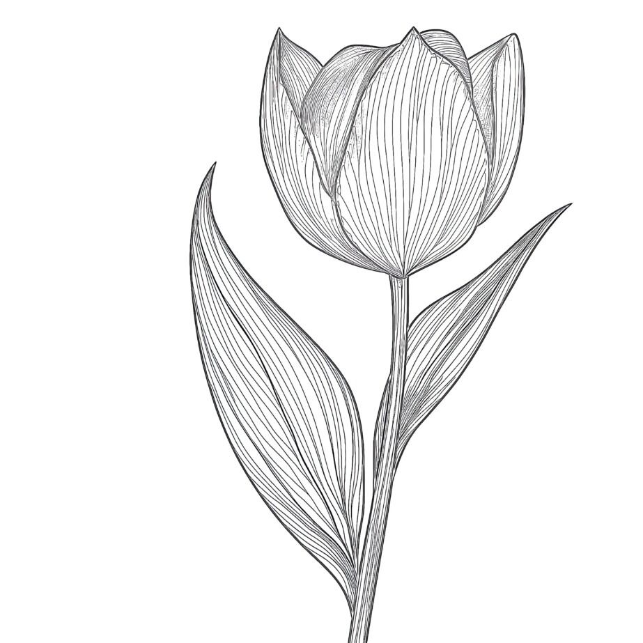 Picture Of Flower For Coloring