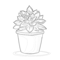 Plant Pot Coloring Page - Printable Coloring page