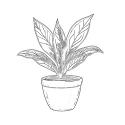 Plant Pot Colouring Page - Printable Coloring page