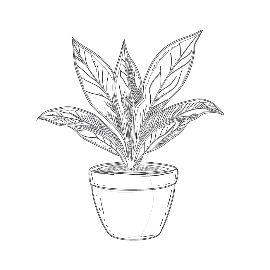 Plant Pot Colouring Page