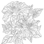 Pretty Flower Pictures To Color