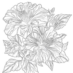 Pretty Flower Pictures To Coloring Page - Printable Coloring page