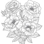 Rose Flower Coloring