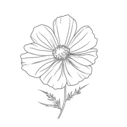 Flower Coloring Pages Colored - Printable Coloring page