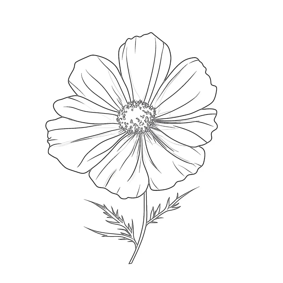Flower Coloring Pages Colored