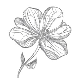 Flower Coloring Pages Simple - Printable Coloring page