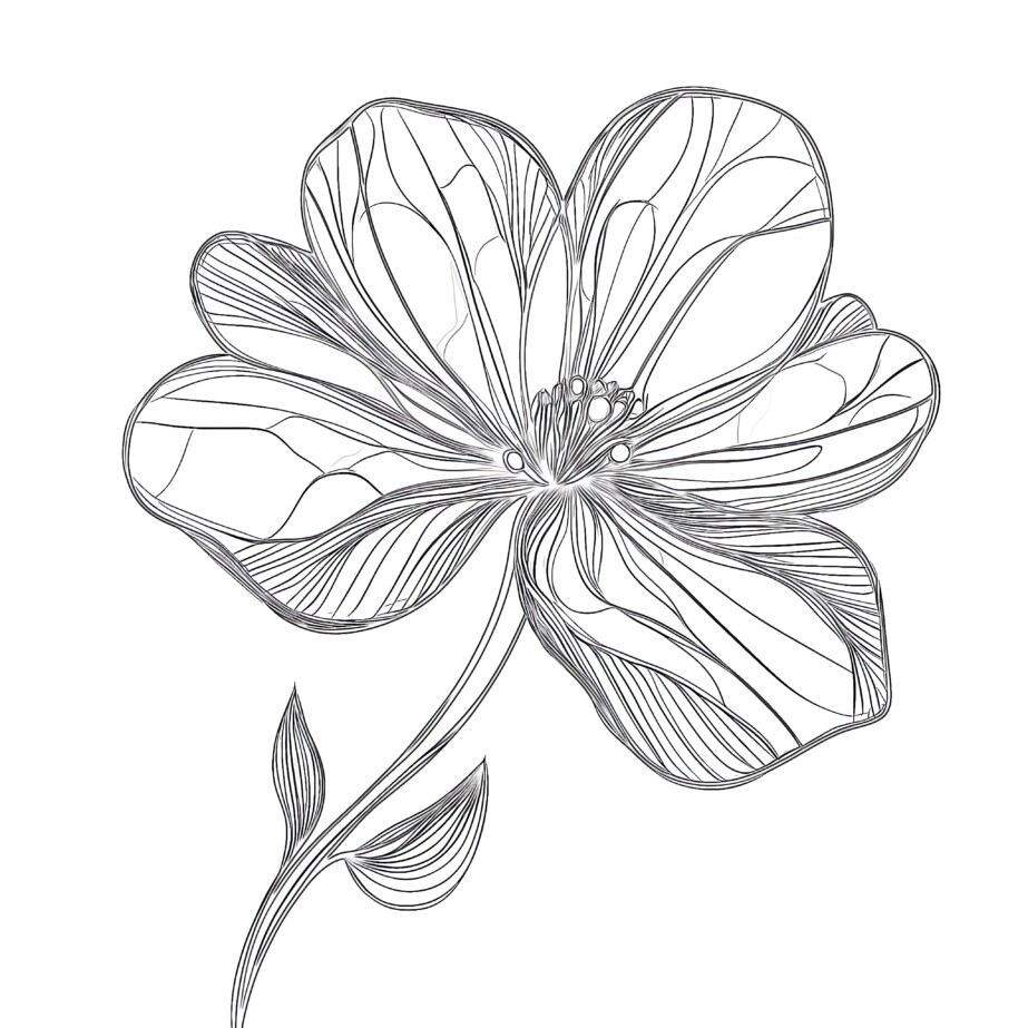 Flower Coloring Pages Simple