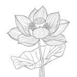 Flower Coloring Paper