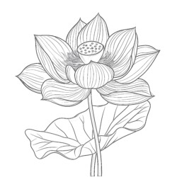 Flower Coloring Paper - Printable Coloring page