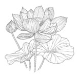 Flower Coloring Sheet Printable