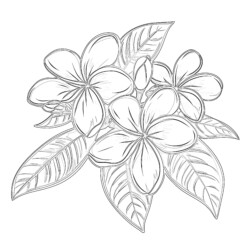 Flower Colouring Pictures To Print - Printable Coloring page