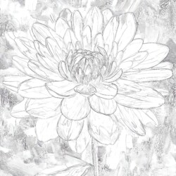 Flower Design Coloring Pages - Printable Coloring page