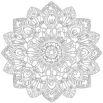 Flower Mandala Color