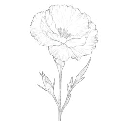 Flower Pictures To Colour And Print - Printable Coloring page